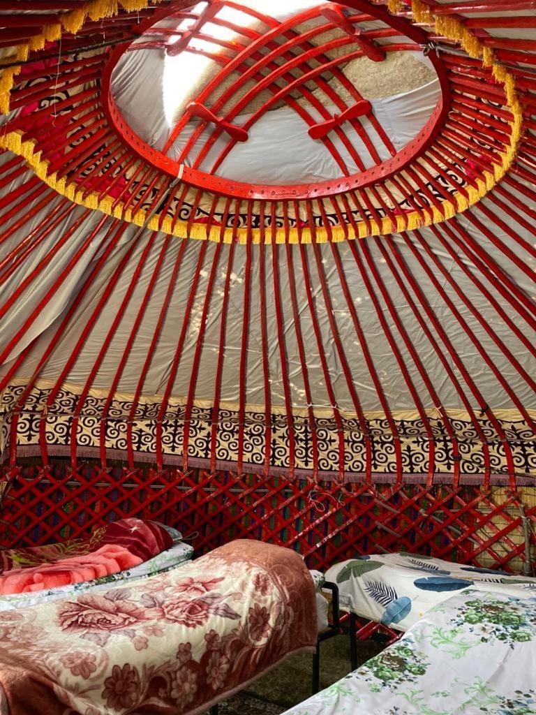 فندق Zalkar Yurt Camp Song-Kul المظهر الخارجي الصورة
